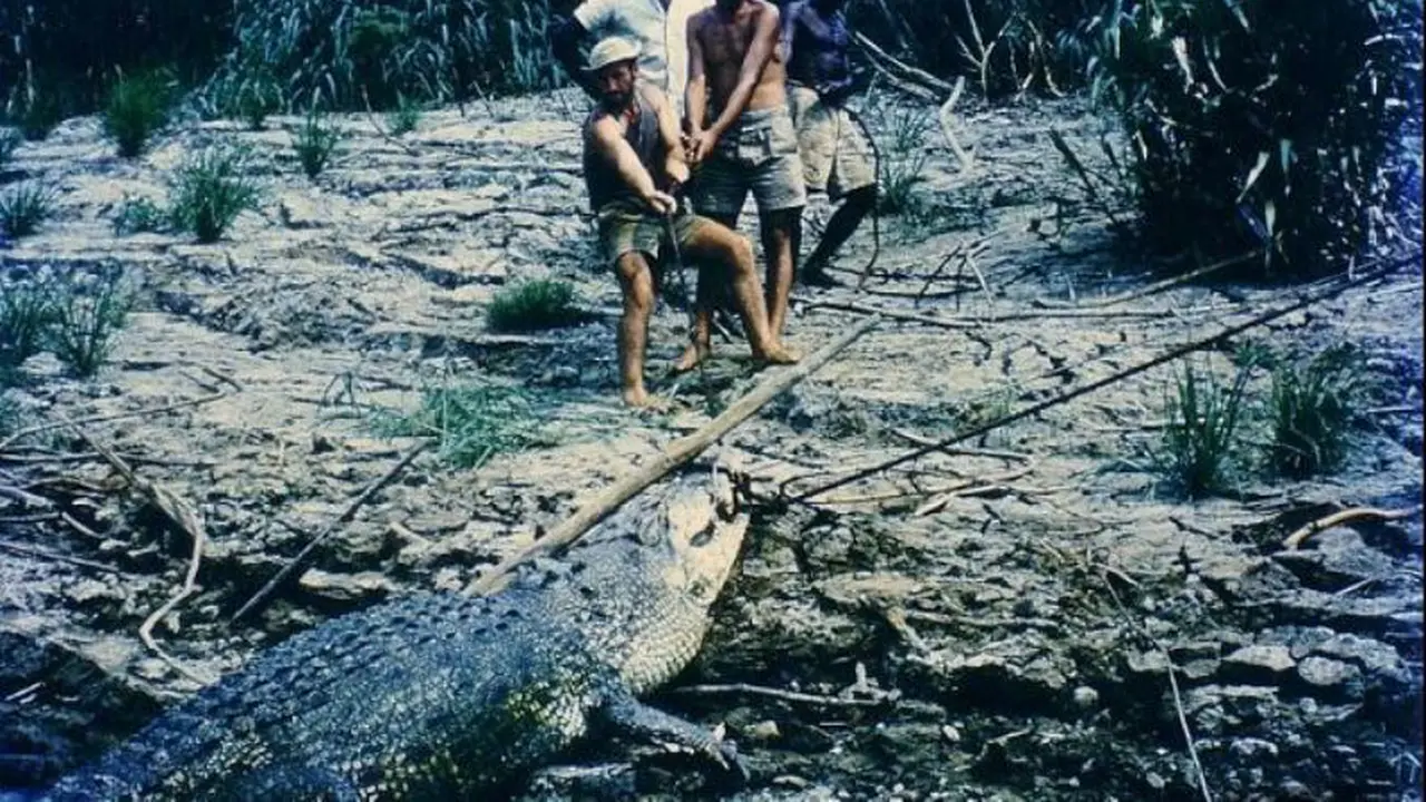[Bintang] Kehidupan Seorang Pemburu Buaya