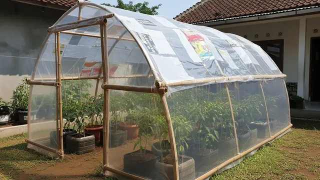 Rumah Kaca Mini dari Rangka Bambu dan Plastik Bekas