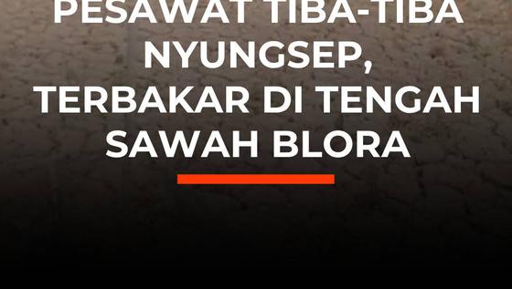 Pesawat Tiba-Tiba Nyungsep,Terbakar di Tengah Sawah Blora