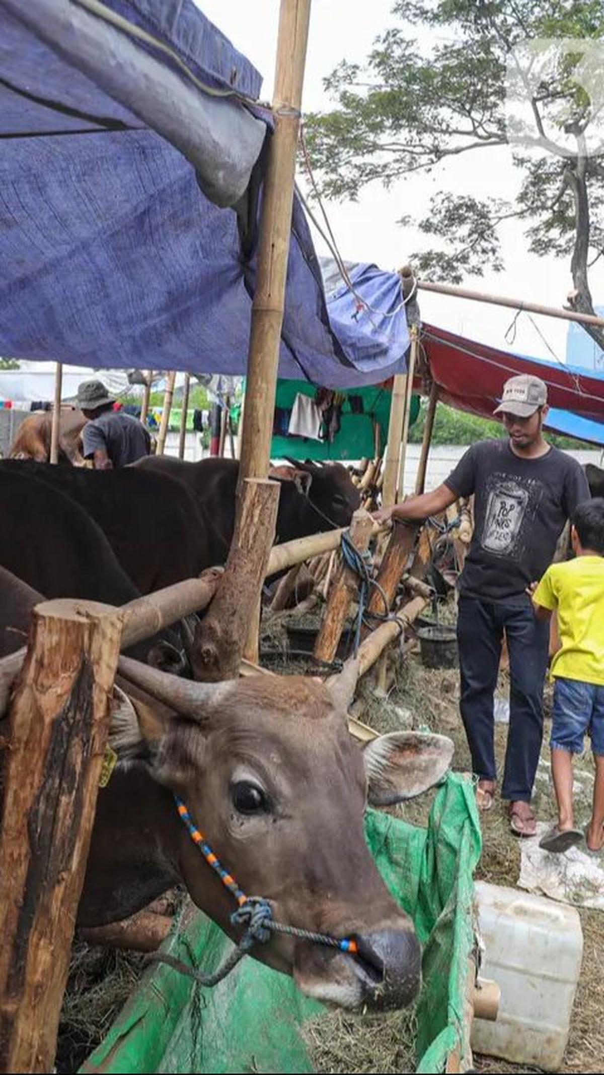 Dengan adanya keputusan tersebut maka otomatis Hari Raya Idul Adha 10 Zulhijah 1445 Hijriah akan jatuh pada hari Senin 17 Juni 2024. (Liputan6.com/Angga Yuniar)