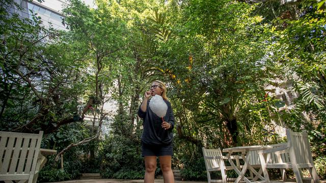 The Papandayan Hotel