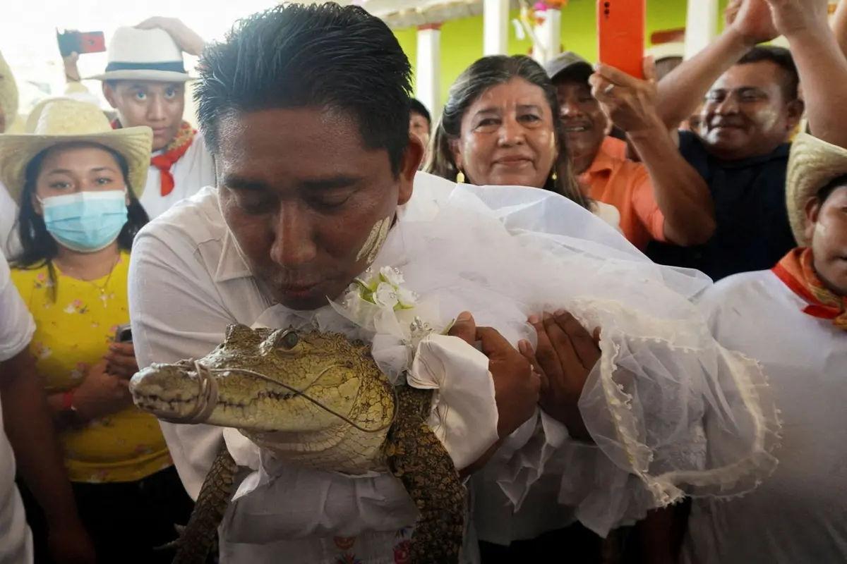 Walikota di Meksiko Nikahi Buaya Betina untuk Ritual Panen, Tradisi Selama 230 Tahun
