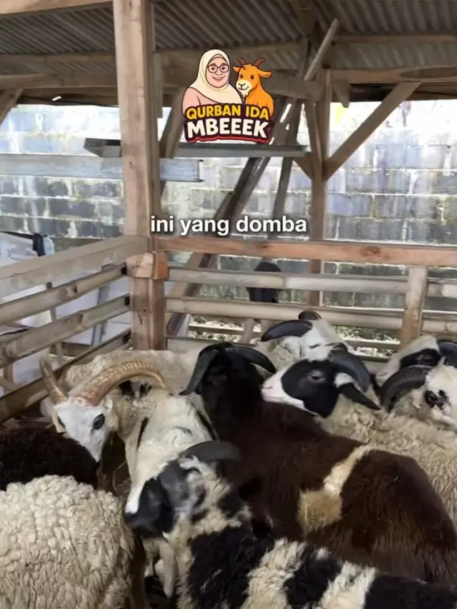 Potret Kandang Kambing Ibu Fadil Jaidi