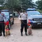 Dua anjing pintar dari Polda Sulteng yang dibawa ke Sulbar untuk membantu pencarian korban gempa di Mamuju dan Majene. (Foto: Humas Polda Sulteng).