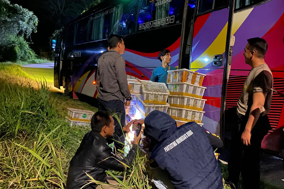 Patroli Senyap di Tahura Wan Abdul Rachman, Menjaga Burung dari Jerat Pemburu Liar