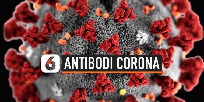 VIDEO: Kabar Baik! Peneliti Temukan Antibodi untuk Cegah Corona
