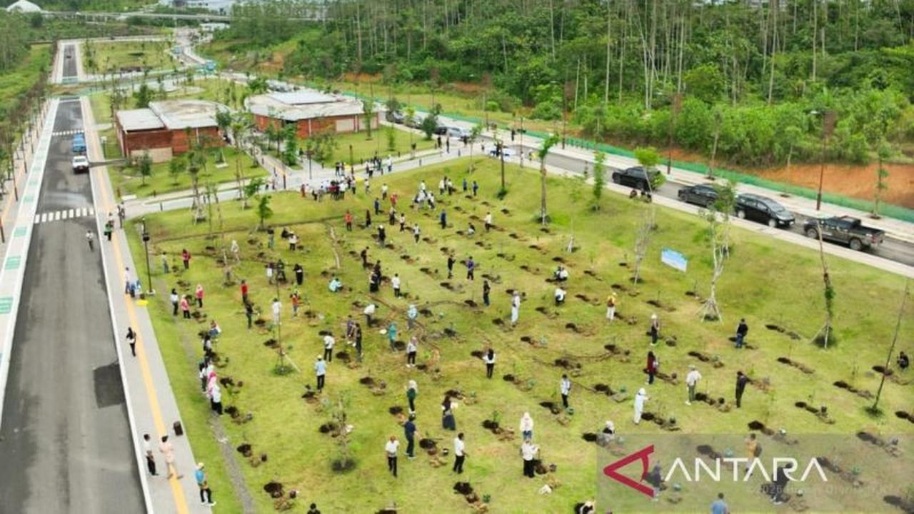 Otorita Ajak Masyarakat Wujudkan IKN sebagai Kota Hutan Melalui Penanaman Pohon IKN