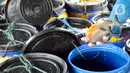 Petani menunjukkan hasil panen ikan bawal air tawar yang akan dibawa ke Pasar Ikan Muara Angke Jakarta dari Waduk Cirata di kawasan Desa Gudang, Cikalong Kulon, Cianjur, Jawa Barat, Senin (29/8/2022). Sejumlah petani ikan air tawar di kawasan Waduk Cirata sudah lebih dari dua bulan menjerit karena kenaikan harga pakan ikan dari Rp 8.500/kg menjadi Rp 10.500/kg sementara harga ikan bawal konstan Rp 14.500/kg di tingkat petani. (merdeka.com/Arie Basuki)
