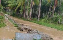 Dua Desa di Parigi Moutong Terendam Banjir, BPBD Sulteng Lakukan Penanganan Darurat