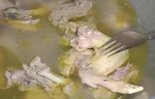 Resep Rahasia Masak Ayam Kampung Jadi Lembut, Dijamin Anti Gagal