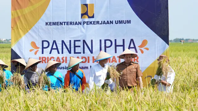 Panen Demplot Bersama Petani, Menteri PU Dorong Penerapan IPHA untuk Swasembada Pangan