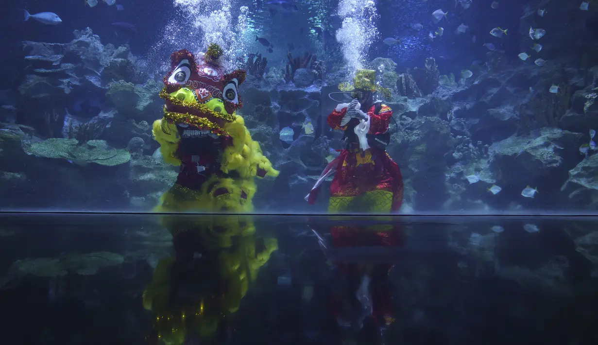 Penyelam menampilkan barongsai bawah air di KLCC Aquaria selama perayaan Tahun Baru China atau Imlek di Kuala Lumpur, Malaysia pada Jumat (12/2/2021). Sosok barongsai identik dengan perayaan Imlek di mana kehadirannya dipercaya dapat mengusir roh-roh jahat. (AP Photo/Vincent Thian)