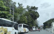 Pemkot Palu Sediakan Layanan Bus Trans Palu Gratis Pasca-Lebaran Idul Fitri 2026