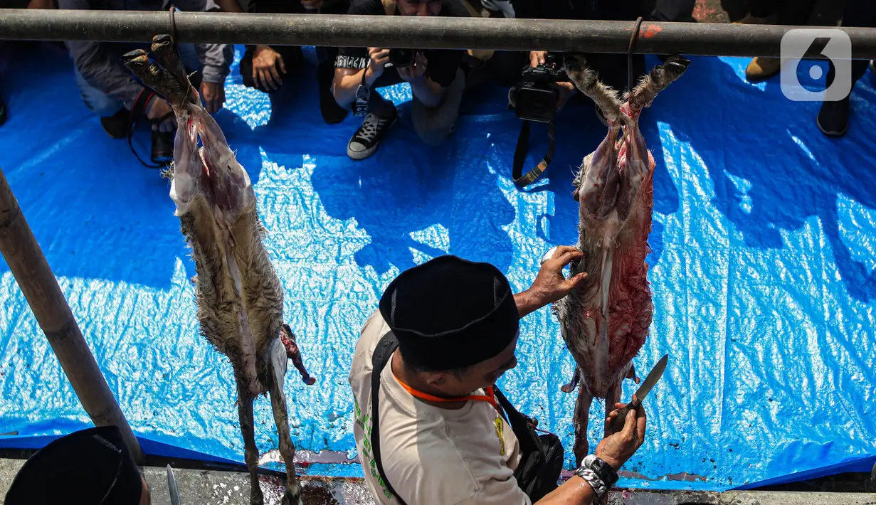 Lebaran Tenabang 2024 akan memukau pengunjung dengan berbagai pertunjukan budaya dan seni Betawai seperti palang pintu hngga lomba "ngeset" atau menguliti kambing. (Liputan6.com/Angga Yuniar)