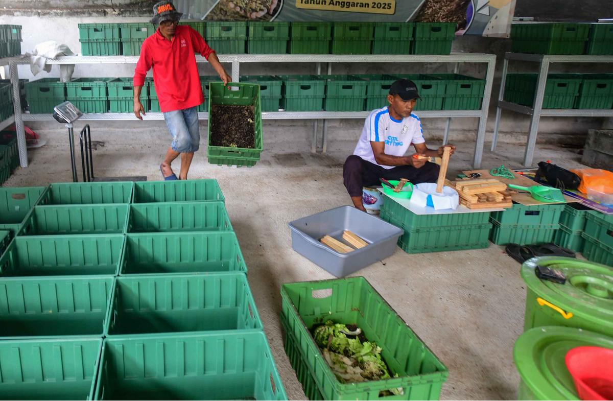 FOTO: Budidaya Maggot Bantu Warga Terdampak PHK di Depok