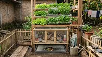 7 Kombinasi Kebun dan Ternak di Lahan 1x1 Meter, Hemat Tempat Hasil Maksimal