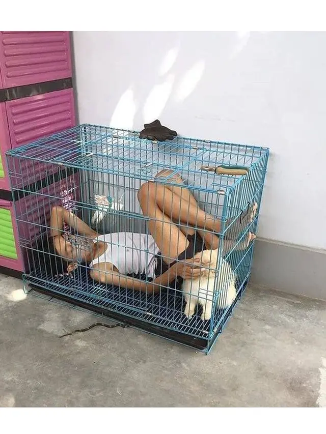 Kelakuan Orang Kelewat Sayang dengan Kucing Ini Bikin Geleng-Geleng