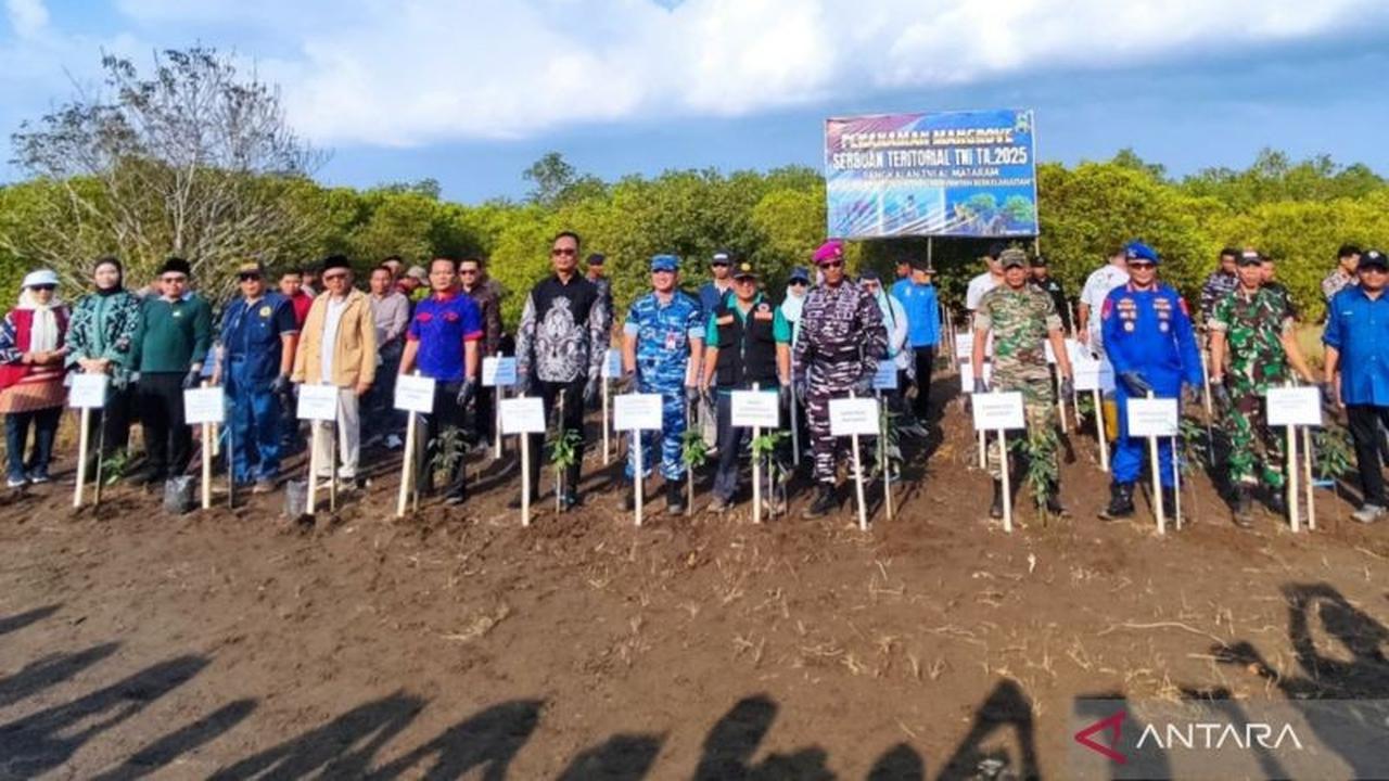 Trivia Tsunami Aceh 2004 Ungkap Pentingnya Mangrove, Lanal Mataram Gencarkan Jaga Ekosistem Perairan NTB
