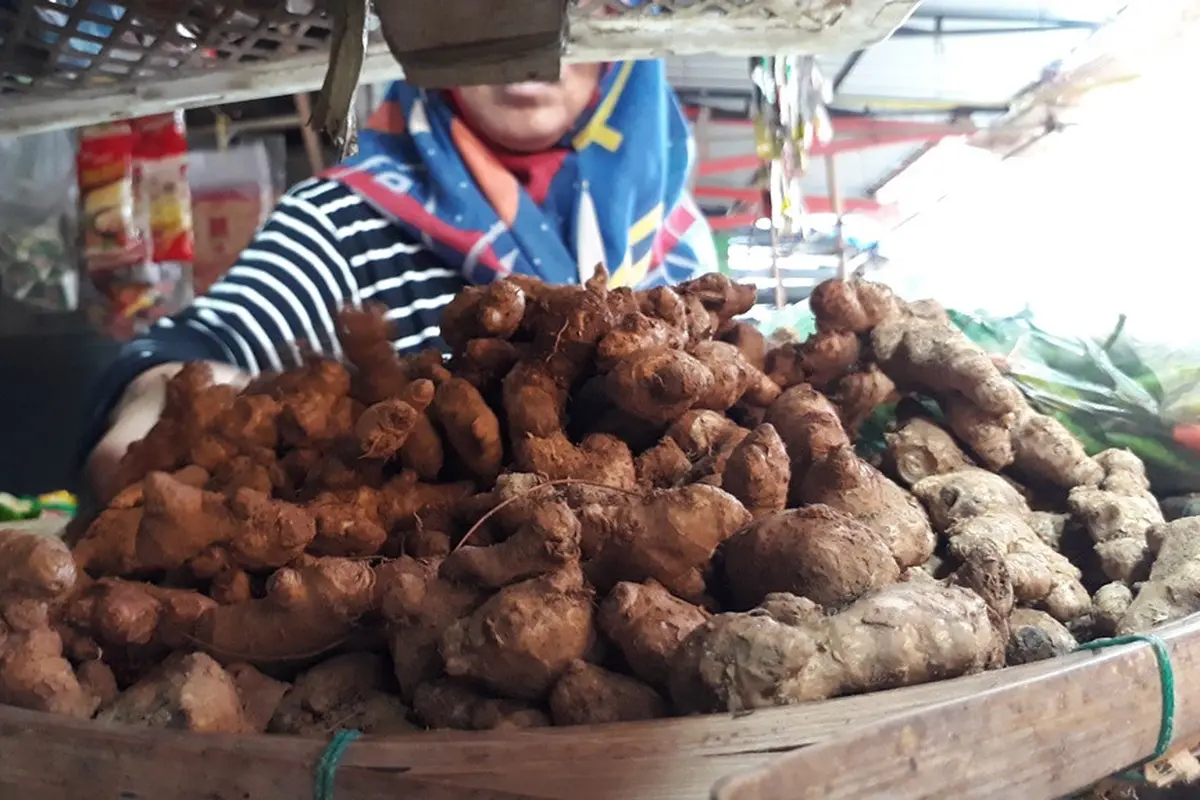 Harga kunyit, bahan jamu herbal penangkal virus Corona covid-19 di Cilacap hanya Rp 10 ribu per kilogram. (Foto: Liputan6.com/Muhamad Ridlo)