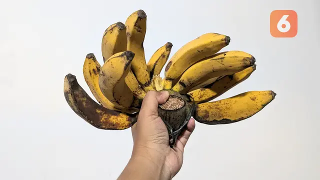 Pisang