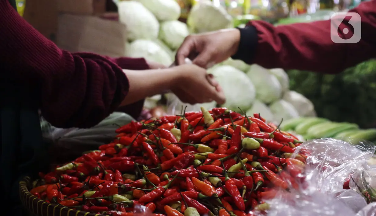 Pedagang cabai melayani pembeli di Pasar Lembang, Tangerang, Banten, Selasa (21/12/2021). Jelang Natal, harga cabai rawit merah alami kenaikan hingga menembus Rp 100 ribu per kilo. (Liputan6.com/Angga Yuniar)