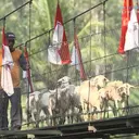 Seskab Teddy Beberkan Progres Pembangunan 2.500 Jembatan