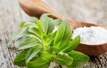Stevia vs Gula: Manakah yang Lebih Sehat?