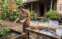Thinwall Pecah Bisa Buat Apa? Ini 7 Ide Kreatif Memanfaatkan Wadah Plastik Bekas