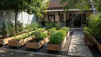Cara Menata Kebun Berdasarkan Intensitas Matahari agar Tanaman Tumbuh Subur dan Panen Optimal