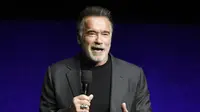Arnold Schwarzenegger. (Chris Pizzello/Invision/AP, File)