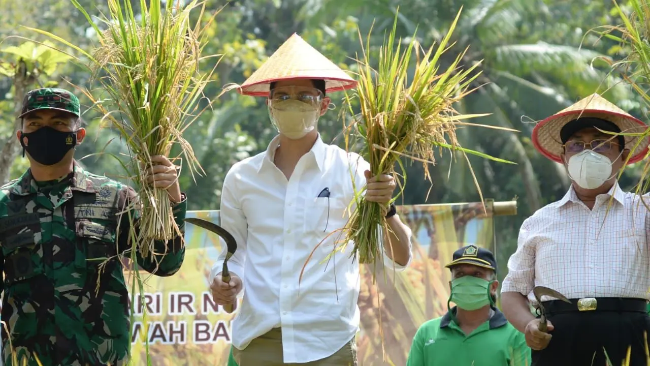 Komisi IV DPR RI bersama Kementerian Pertanian (Kementan) mengunjungi lokasi cetak sawah baru di Desa Sendangsari, Kecamatan Pengasih Kabupaten Kulon Progo DIY pada hari Sabtu (10/4/2021).