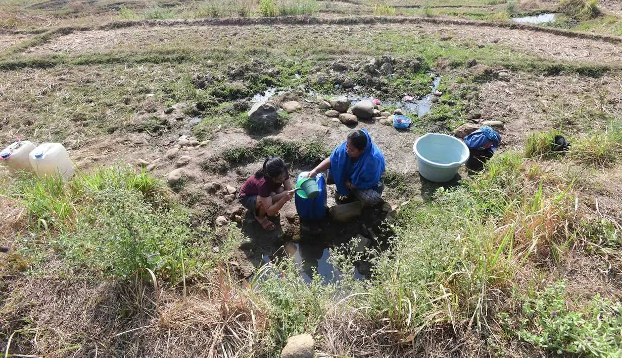Warga mengambil air untuk kebutuhan sehari-hari pada kubangan bekas sawah di  kawasan Weninggalih, Jonggol, Jawa Barat, Selasa, 25 Agustus 2026. (KLY/ Arie Basuki)