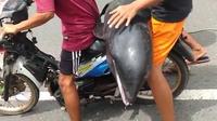 Lumba-lumba terdampar di Pantai Ni’u Bima, Nusa Tenggara Barat (NTB) malah dibonceng menggunakan sepeda motor. (dok. Ist)