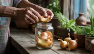 Cara Membuat Pupuk dari Kulit Bawang, Sulap Limbah Dapur Jadi Nutrisi Tanaman