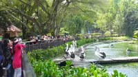 Libur Maulid Nabi, Taman Margasatwa Ragunan Dipadati 18 Ribu Pengunjung