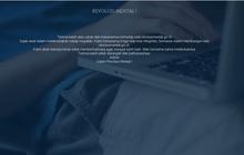 Anggaran bikin website revolusi mental Rp 140 M tak masuk akal