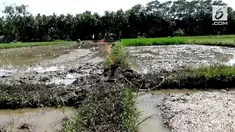 Api tiba-tiba muncul di area persawahan milik warga Desa Binangun. Api muncul saat warga sedang membuat sumur bor