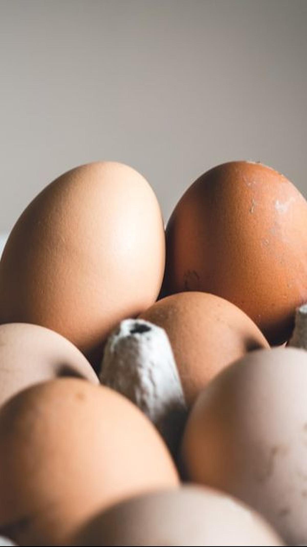 <b>Telur </b>