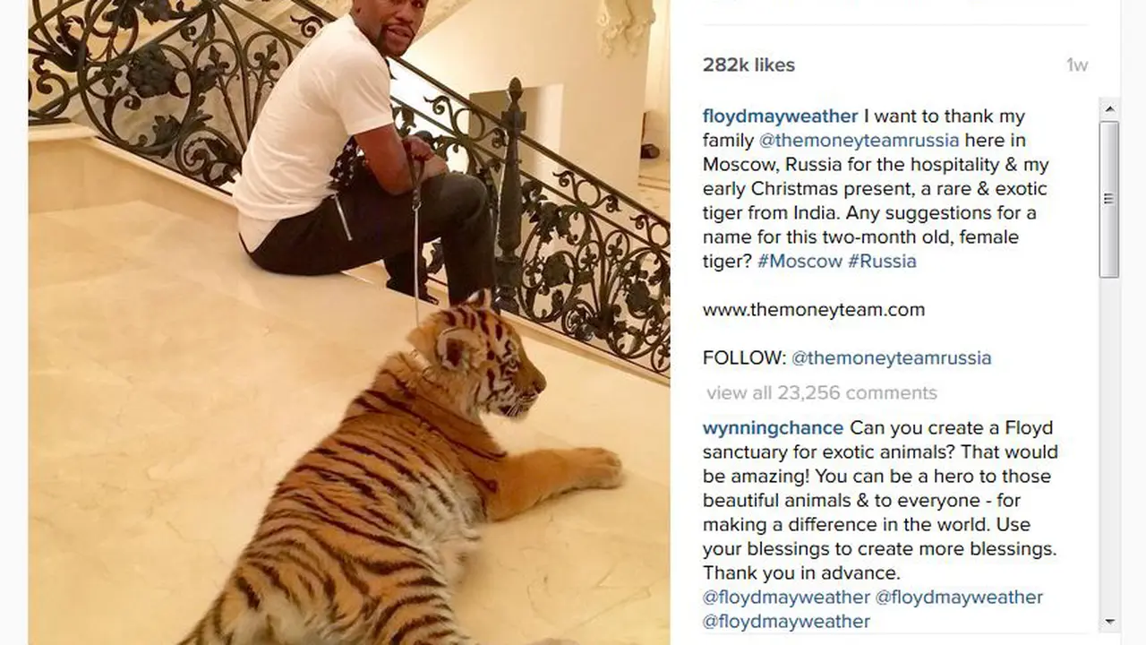 Floyd Mayweather, Jr.