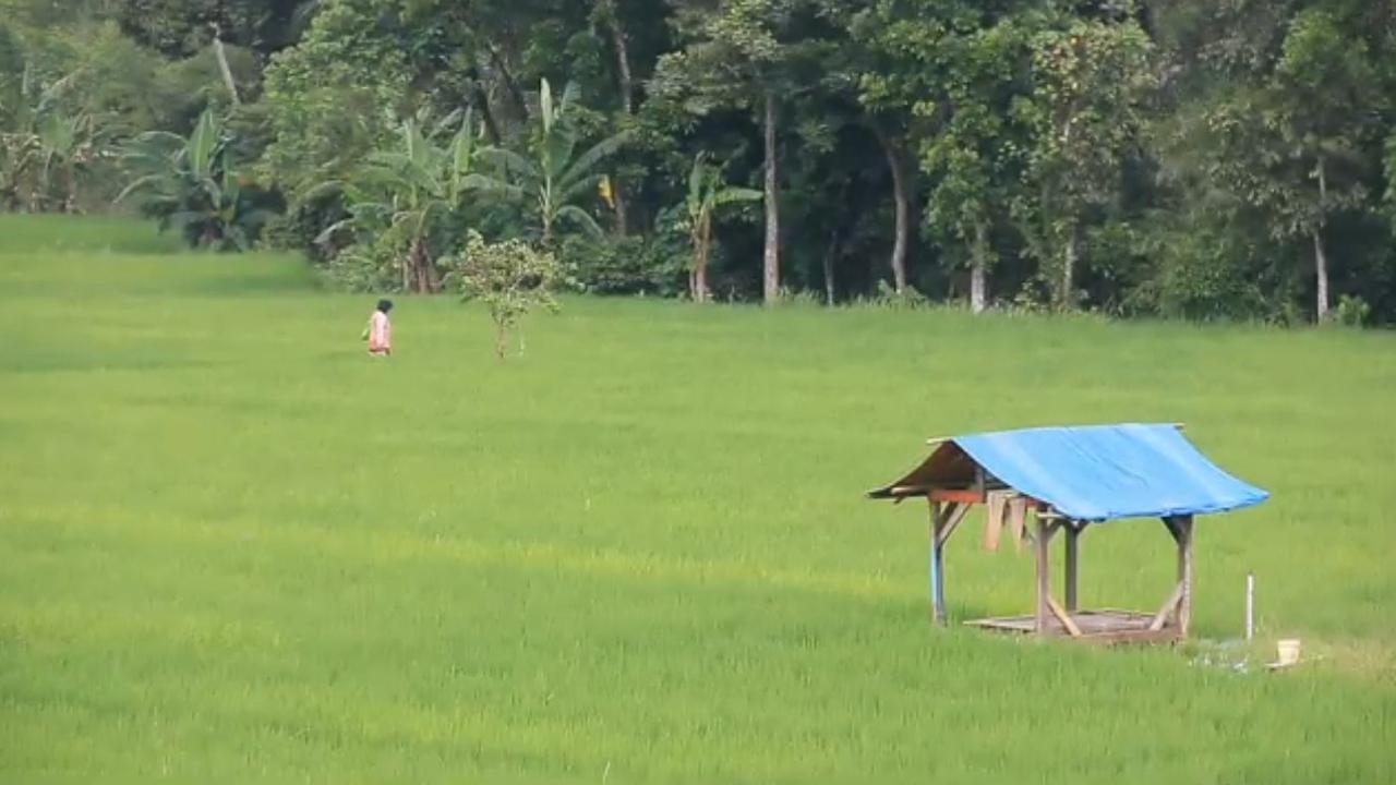Potret aktivitas para petani penggarap di Kabupaten Sukabumi, Jawa Barat. (Liputan6.com/Fira Syahrin)