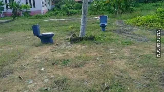 6 WC Umum Pakai Konsep Menyatu dengan Alam Ini Bikin Enggak Habis Pikir