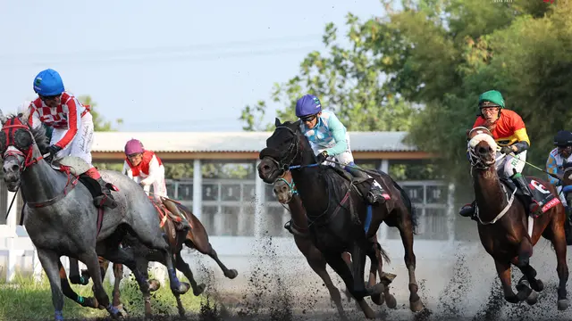 Kuda King Argentin Raih Triple Crown Indonesia, Gelar Penantian Selama 20 Tahun