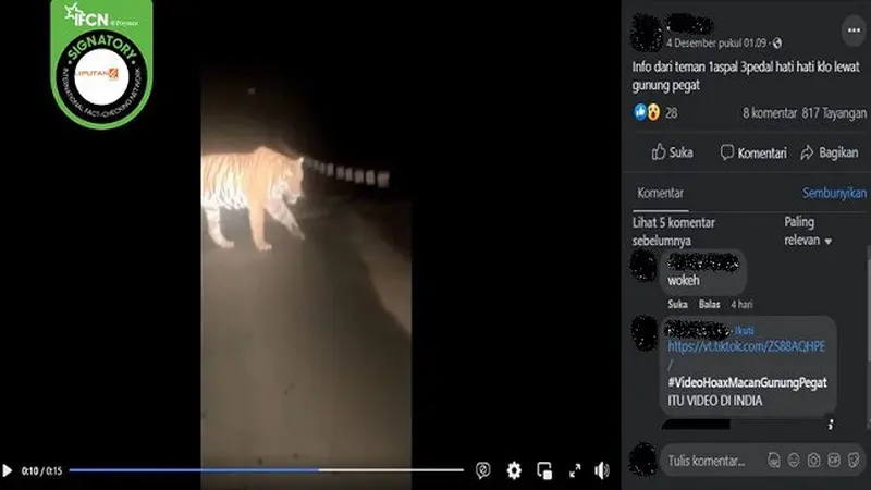 Gambar Tangkapan Layar Video yang Diklaim Seekor Harimau Muncul di Gunung Pegat, Wonogiri, Jawa Tengah (sumber: Facebook).