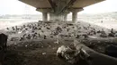 Para tunawisma tidur di bawah naungan jembatan layang pada hari yang panas di New Delhi, Jumat (20/5/2022). Ibu kota India dan sekitarnya tengah menghadapi kondisi gelombang panas yang ekstrem. (AP Photo/Manish Swarup)