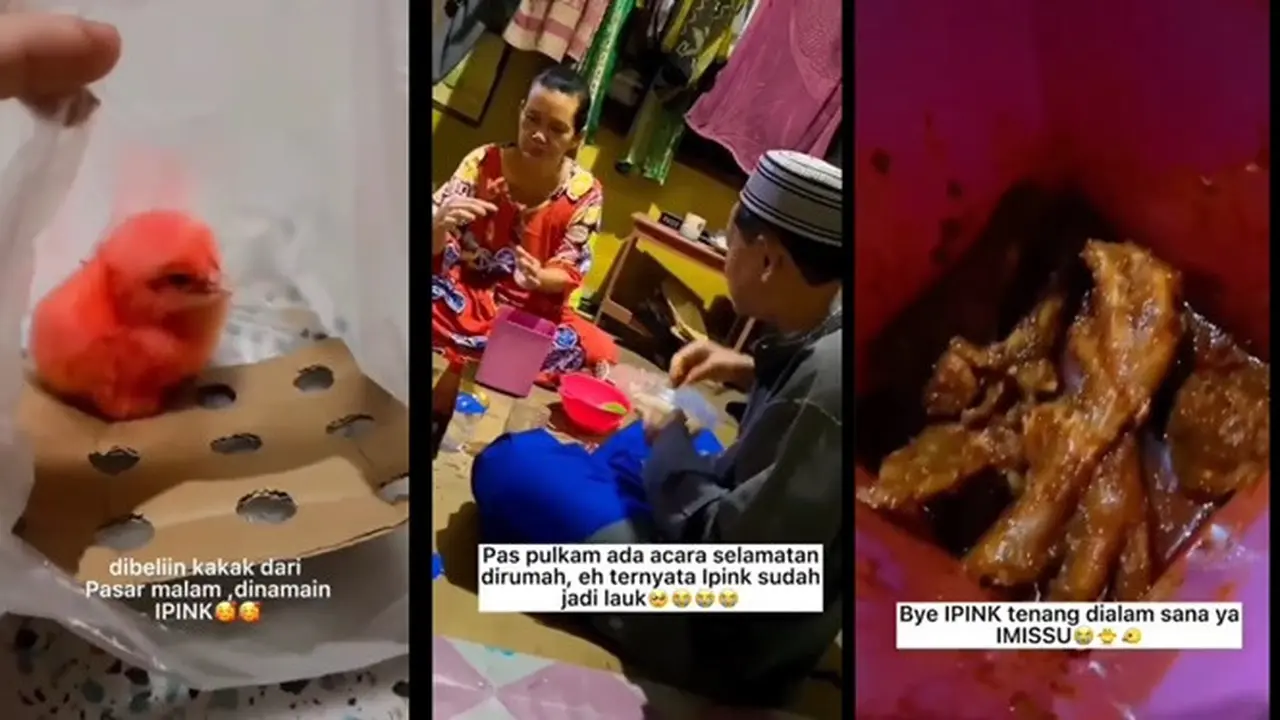 Dirawat dari Kecil, Ayam Kesayangan Wanita Ini Berakhir Jadi Santapan Makanan