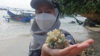Salah satu mahasiswa anggota Generasi Baru Bank Indonesia (Genbi) menunjukan terumbu karang siap tanam di kawasan Pantai Pangandaran, Jawa Barat. (Liputan6.com/Jayadi Supriadin)