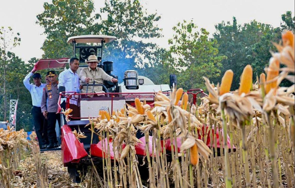 FOTO: Prabowo Panen Jagung dan Luncurkan Operasional Ketahanan Pangan