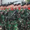 Polemik Babinsa Dilibatkan Awasi Pajak Rakyat