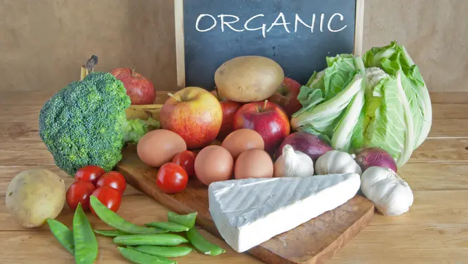 makanan organik