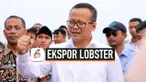 THUMBNAIL LOBSTER